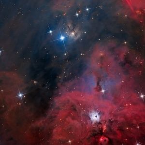 Meet your Posher, Luke